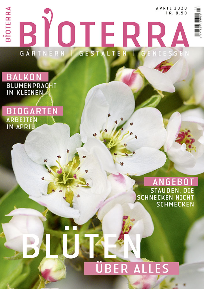 Cover Zeitschrift «Bioterra» April 2020