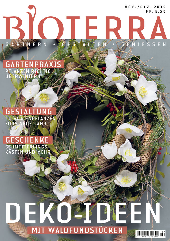 Cover Zeitschrift «Bioterra» November/Dezember 2019