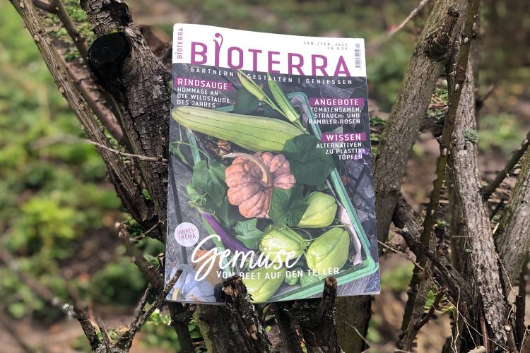 Zeitschrift «Bioterra» Januar/Februar 2023 Header