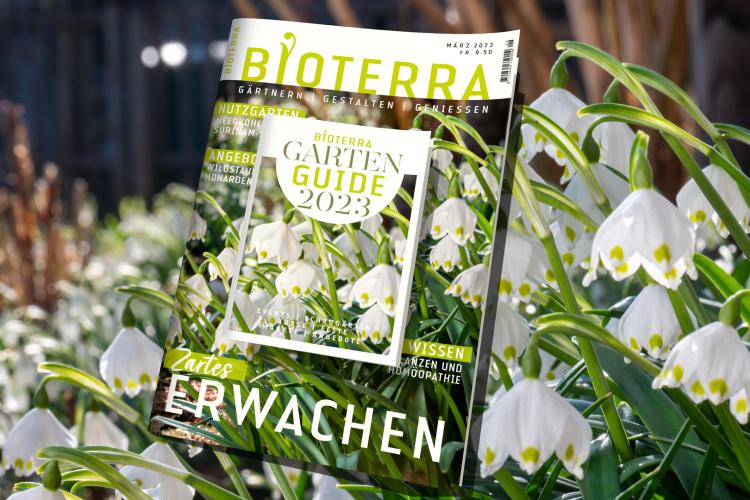 Zeitschrift «Bioterra» März 2023 Header