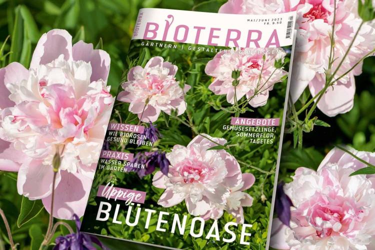 Zeitschrift «Bioterra» Mai/Juni 2023 Header, Bild: Benedikt Dittli
