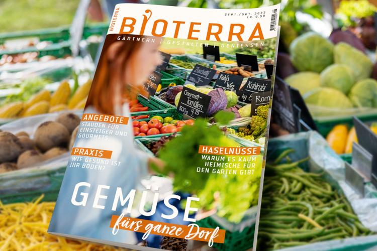 Zeitschrift «Bioterra» September/Oktober 2023 Header