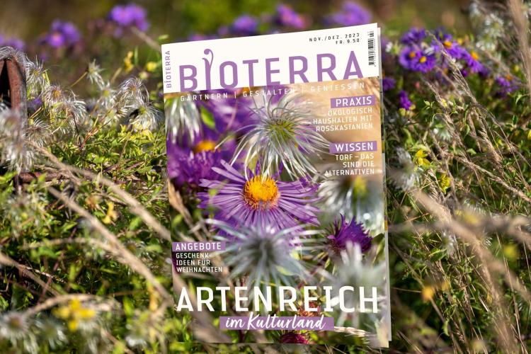 Teaserbild Magazin «Bioterra» November/Dezember 2023, von Benedikt Dittli